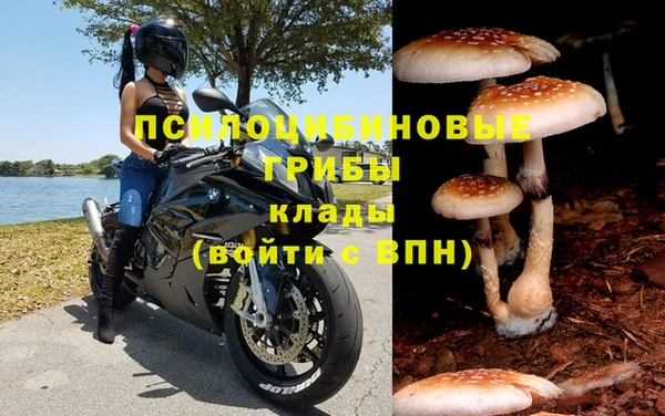 скорость Аркадак